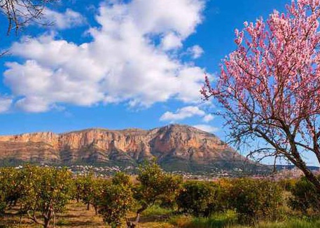 10 The Best Parks and Nature Attractions in Costa Blanca
