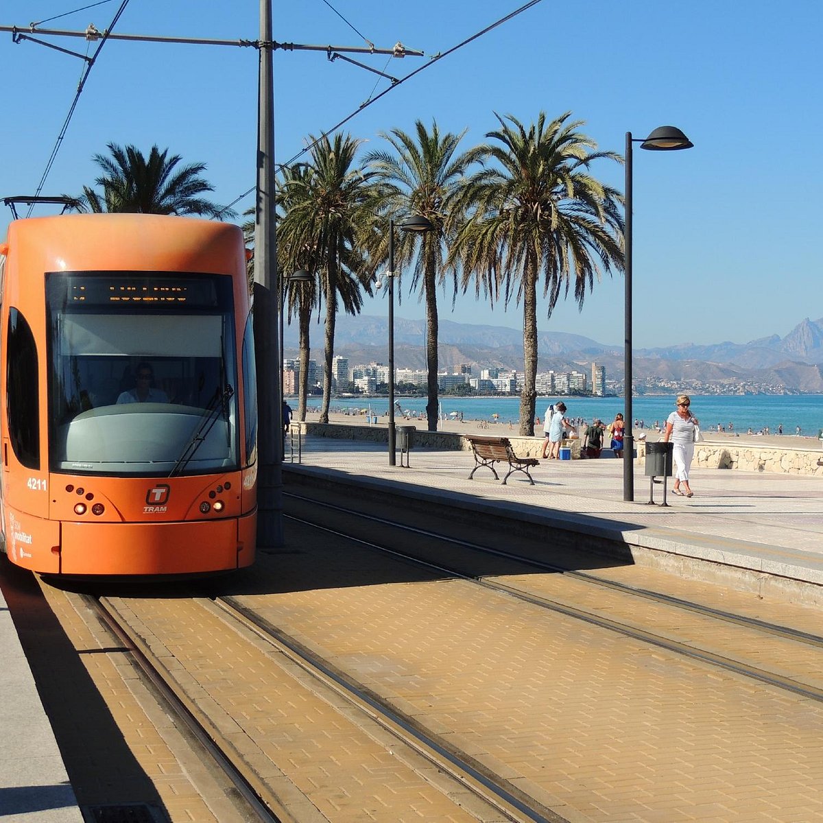 Exploring Transportation Options in Alicante and Free Travel Opportunities for Eligible Groups